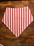 Adapted Bib - Strawberry Stripes | Ready to go
