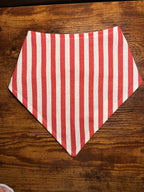 Adapted Bib - Strawberry Stripes | Ready to go