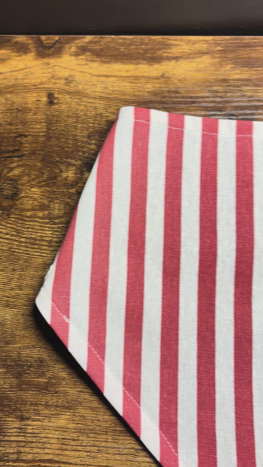 Adapted Bib - Strawberry Stripes | Ready to go